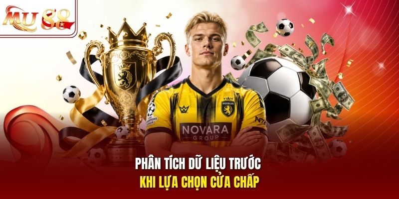 Phân tích dữ liệu trước khi lựa chọn cửa chấp